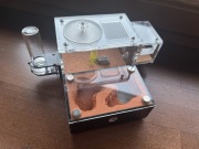 Formicarium dla mrówek 