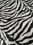 Zebra materiał tkanina cały kupon 