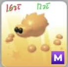 Adopt Me Jumping Spider M