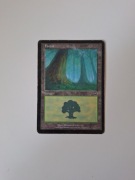 Forest (347) Mercadian Masques MTG land