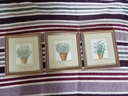 Zioła Obrazy drewniana rama Dekoracja ścienna Bazylia, szczypiorek anglia