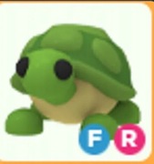 Turtle FR adoptme