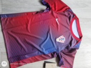 Koszulka męska klubowa Nike