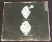 Terry Hoax ( Depeche Mode ) Policy Of Truth CD 1992 Germany