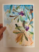 Akwarela OLIWKI KALAMATA 19x26cm | Oryginał | Bawełna