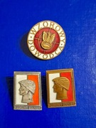 Odznaka wojskowa wzorowy Dca