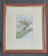 Ładny obrazek druk ptak ptaki drewniana ramka 