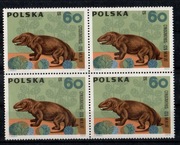 1506-1514,Zwierzęta kopalne-kregowce,czwórki