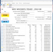 Dysk HDD WD caviar 250GB, WD 2500YS