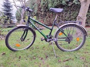 Rower SERPENTE damka 24'