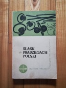 książka "Śląsk w pradziejach polski" 