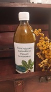 zakwas Bołotowa - enzym z owocem kasztanowca - 2x500 ml