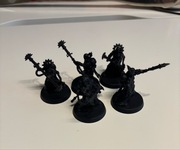 Adeptus Mechanicus Electropriests