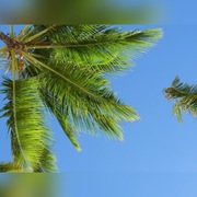 Sprzedam serwis 100k UU/msc