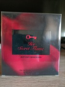 Antonio Banderas Her Secret Flame.