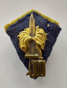 10 Baon - 4 WBP - OZNAKA SPECJALNA - 4 WOŁYŃSKA BRYGADA PIECHOTY - PSZnZ 