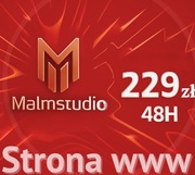 Od Pomysłu do Strony WWW w 48h! Kompletny Pakiet za 229 zł z MalmStudio!