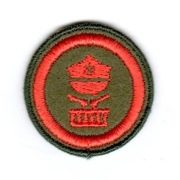 Sprawność ZHR "Dobosz"