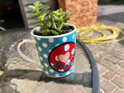 Apple Iphone XR czerwony