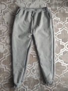 Spodnie dresowe męskie, ocieplane misiem, XL