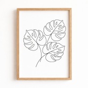 Dekoracja plakat Monstera rysunek liniowy 