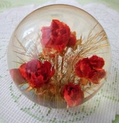 Vintage przycisk do papieru paperweight naturalne kwiaty w kuli pleksiglas 