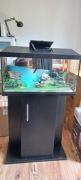 Akwarium aquael 60 l + dodatki
