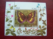Oman  MNH Fauna Owady Motyle