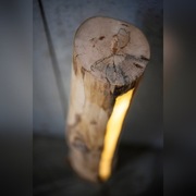 lampa z pnia drzewa 1 metr