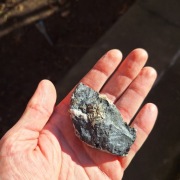 Piryt konkrecja pirytowa z Gór Kaczawskich