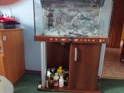 akwarium dla rybek