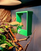 Karmnik magnetyczny do terrarium, karmnik dla kameleona standard