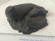 Figurka foki lub lwy morskie Heredities