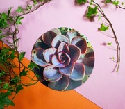 Podkładka pod mysz echeveria, podkładka pod myszkę z kwiatem, prezent