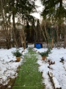 Ogródek Działkowy Chorzów Batory ROD Hutnik