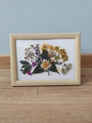 Obrazek z suszonych kwiatów 