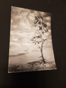 łeba pocztówka karta pocztowa nr 548