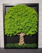 Prezent obraz mech chrobotek 30x40cm