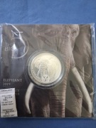 Big Five 2019 Słoń Srebro 1oz Moneta