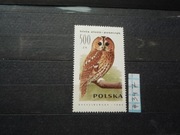 Fi 3147 Sowa puszczyk luzak (**)