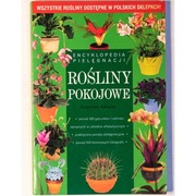 Rośliny pokojowe  Małgorzata Augustyn