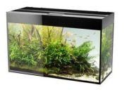 Akwarium Aquael Glossy 125 l 80x35x54 cm