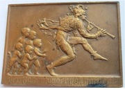 AUSTRIA ART MEDAL FLECISTA Z HAMELN 