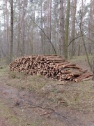 Drewno opałowe i kominkowe 