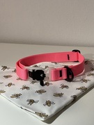 Obroża dla psa, chustka gratis