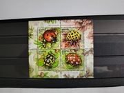 Białoruś, Owady - Biedronki w Bloku.