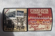 Vlepki Piast Gliwice Historia
