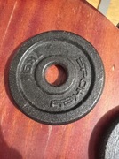 Obciążenie do hantli/gryfu Spokey żeliwne 1kg