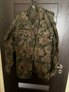 Mundur Wojska Polskiego WZ2010