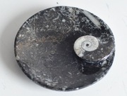 Talerzyk miseczka ze skamieniałościami amonit łodzik dewon